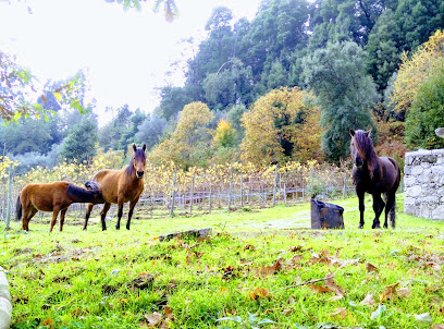 Quinta Casal do Pa&ccedil;o - Aphros Wine