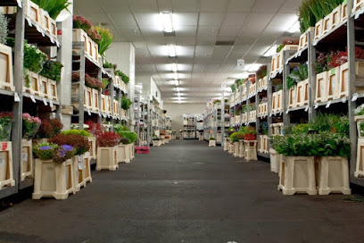 Flor&aacute;lia Com&eacute;rcio de Flores